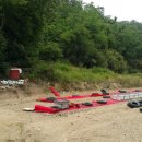 영 태양광 농장 이미지