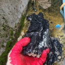 거제새힘한의원 | [거제 설비/하수구] 아파트 베란다 하수구 막힘은 "공사 잔해"(모래·시멘트) 완벽 제거 후기