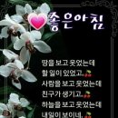 프로마인드