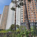 좋은자리공인중개사사무소 이미지