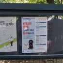 송파 반려견 놀이터 이미지