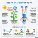 경희가온한의원 네이버블로그