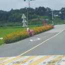 서리마을회관 이미지