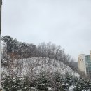 파주 여기는 폭설 🌨 10cm는 온 듯 이미지