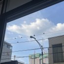 P-7102 | 구질구질 신신애 멈추시오!