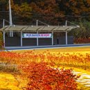 입곡 멀티플 센터 이미지