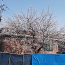 노곡리경로당 이미지