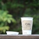 파나