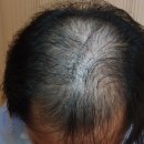 모힐의원 이미지