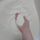 바이오네이처 | 100% 카사바모래 먼지 없는 모래 사용해 본 솔직한 후기 바이오네이처 센스티브 브라질산