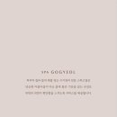스파고결 이미지