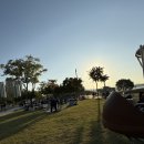 STAY 봄날에 서면 | 반포한강공원 피크닉