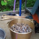 솔빛바다 이미지