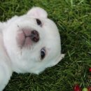 혜민동물병원 이미지