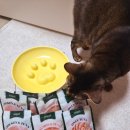 꼬미펫 | 고양이 프리미엄 습식사료 믿고 먹는 와즈펫