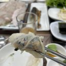 백김치새싹막회 이미지