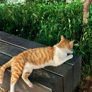 화랑대약국 이미지