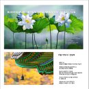 포근한 여백 이미지