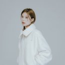 스타일 퍼피 이미지