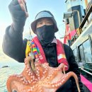 나는문어 - 양산시 | 나는문어