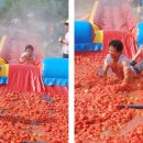 화천 토마토 축제 놀러 오세요 이미지