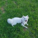 세렌디피티 이미지