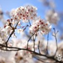 진해공인중개사 사무소 이미지