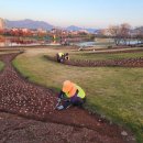 오천그린광장 이미지