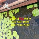 덕일체육관 이미지