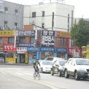 세류동 수원천 옆 길 이미지