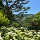 불암산생태학습관 산책로 첫번째 쉼터 | 서울 근교 가볼만한곳 화담숲 예약방법 모노레일 시간