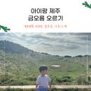 금오름농장 | 33개월 아이랑 금오름 소요시간, 억새뷰 제주오름