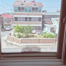 탄현중학교 버스정류장 이미지