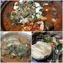 청기와메기찜