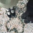 삼문풋살경기장 | 밀양 벚꽃 명소 추천|삼문수변공원 여유로운 봄 산책