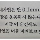 수효자동차 이미지