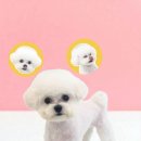 몽몽미용실 네이버블로그