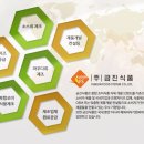 (주)금진식품 - 사하구 | (주)금진식품
