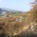 준용농장 Daum카페