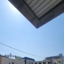 포항 죽도동 두피관리 인디자인두피탈모센터 본점 재방문후기