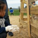 홍익목장 이미지