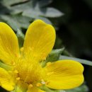 매탄공원 이미지