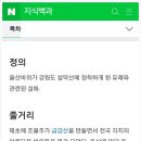 소노펠리체 델피노 이미지