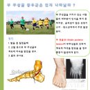 바른자세365협동조합 이미지