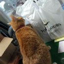 김태동 농장 이미지