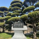 [전북 익산 갈만한곳1, 대전근교 갈만한곳 추천] 원광대학교 자연식물원 다녀온 후기