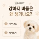인동동물병원