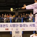 탑태권도 이미지