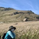 선바위농장(한우) 이미지