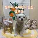 댕쁘앙 이미지